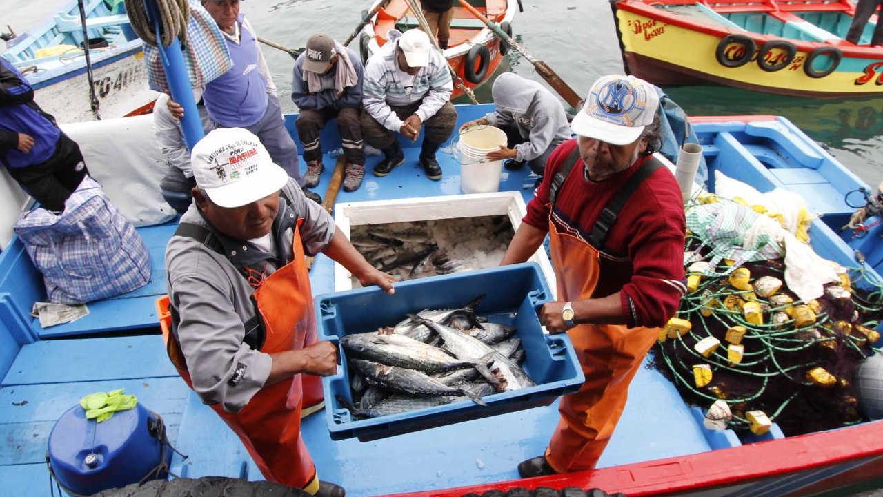 PROGRAMA NACIONAL DE INNOVACIÓN EN PESCA Y ACUICULTURA (RECURRENTE) - 2021