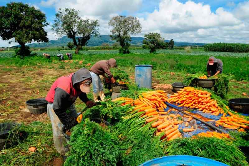 INCENTIVOS PARA LA ASOCIATIVIDAD (VENTANILLA ABIERTA)