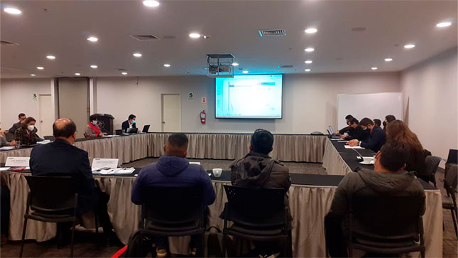 Las ARD se preparan para la formulación de la Estrategia de Desarrollo e Innovación Regional (EDIR)