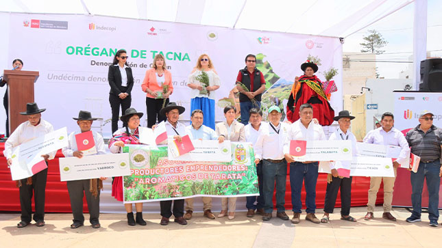 Más de cinco mil productores de orégano de la región Tacna accederán a mayores beneficios para la exportación de dicho producto