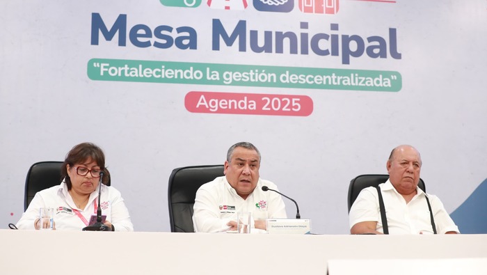 Comisión Multisectorial VRAEM Productivo realizó sesión ordinaria para aprobar plan de trabajo 2025